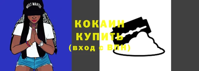 PSILOCYBIN Балабаново