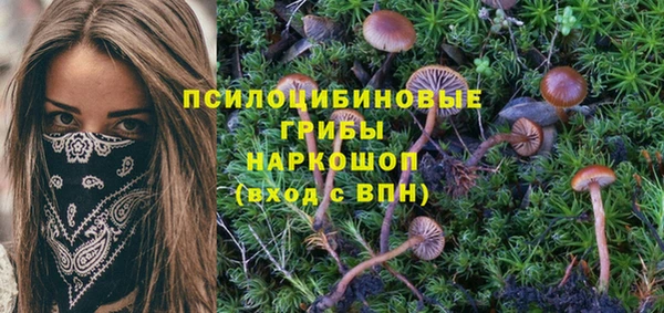 тгк Баксан