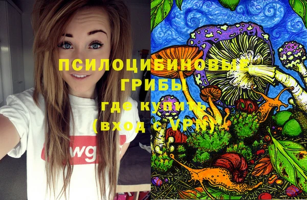 PSILOCYBIN Балабаново