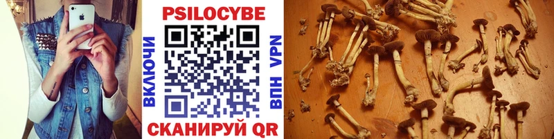 Псилоцибиновые грибы прущие грибы  купить наркотики цена  Долгопрудный 