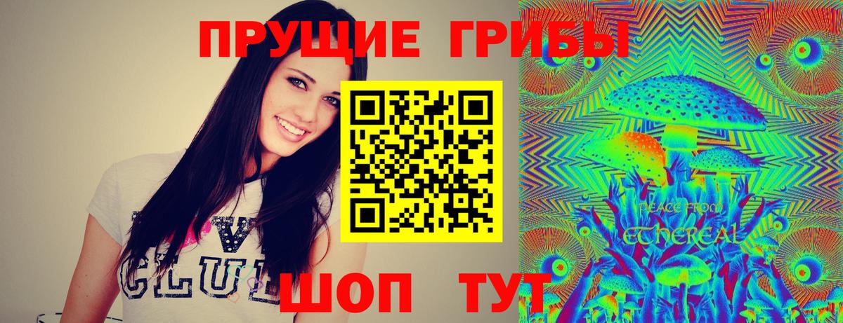Галлюциногенные грибы мицелий  купить наркоту  Вход с VPN  Долгопрудный  Псилоцибиновые грибы мицелий 
